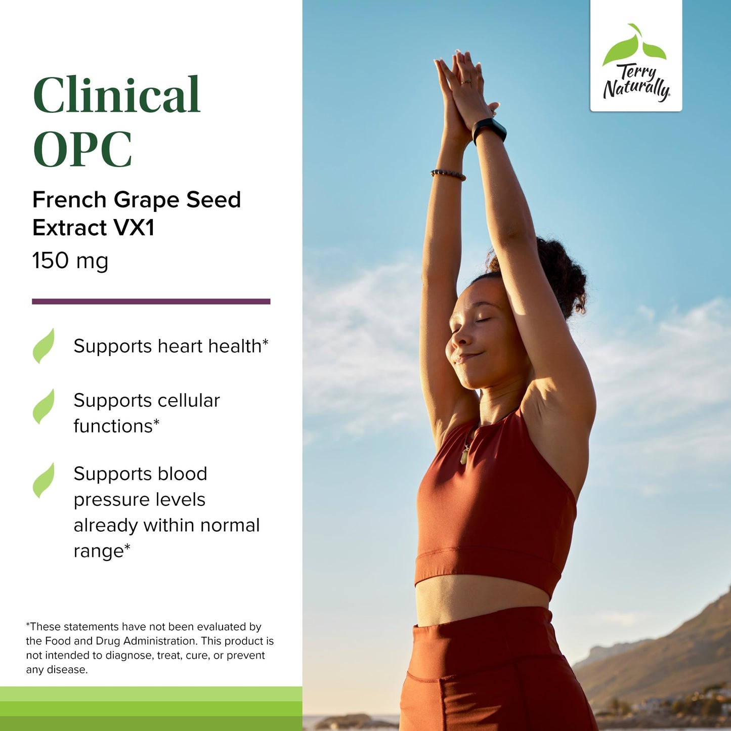 Terry Naturally Clinical OPC – Cardiovascular Health, Focus & Immune Support | 150 mg, 60 Softgels