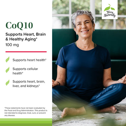 Terry Naturally CoQ10 Chewables – Higher Absorption CoQ10 for Cellular Energy & Brain Health (30 Chewables)
