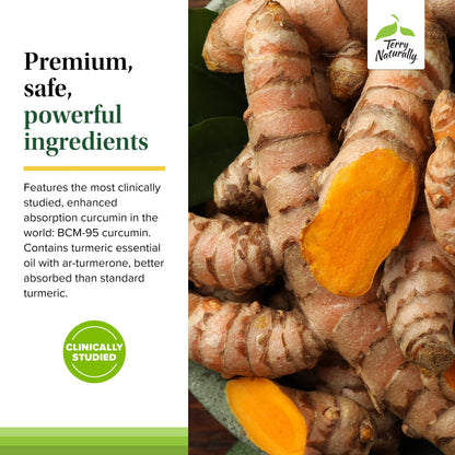 Terry Naturally Curamin – Curcumin for Circulation & Endorphin Support – 120 Capsules