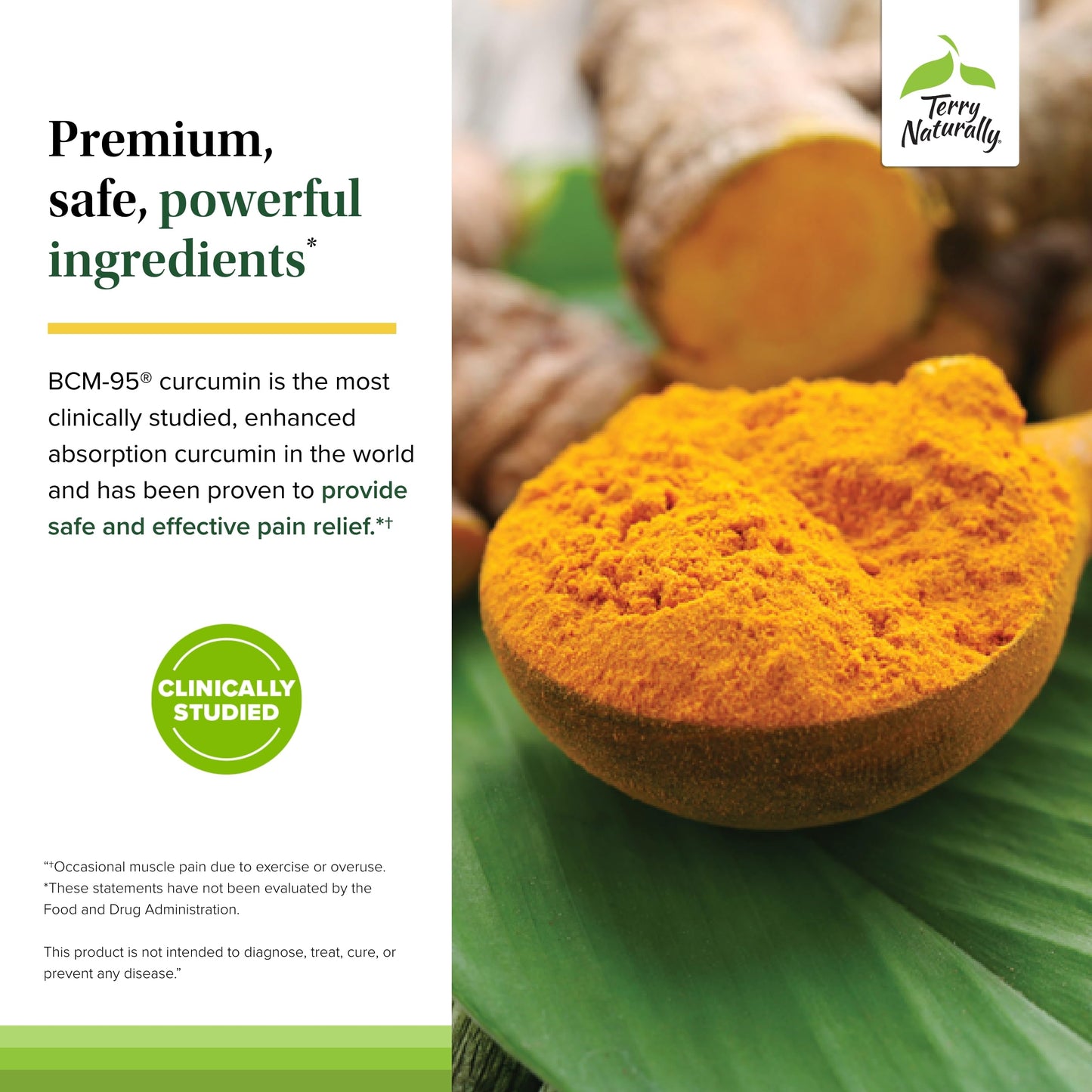 Terry Naturally Curamin - Curcumin with Boswellia, DLPA & Nattokinase - 90 Vegan Capsules