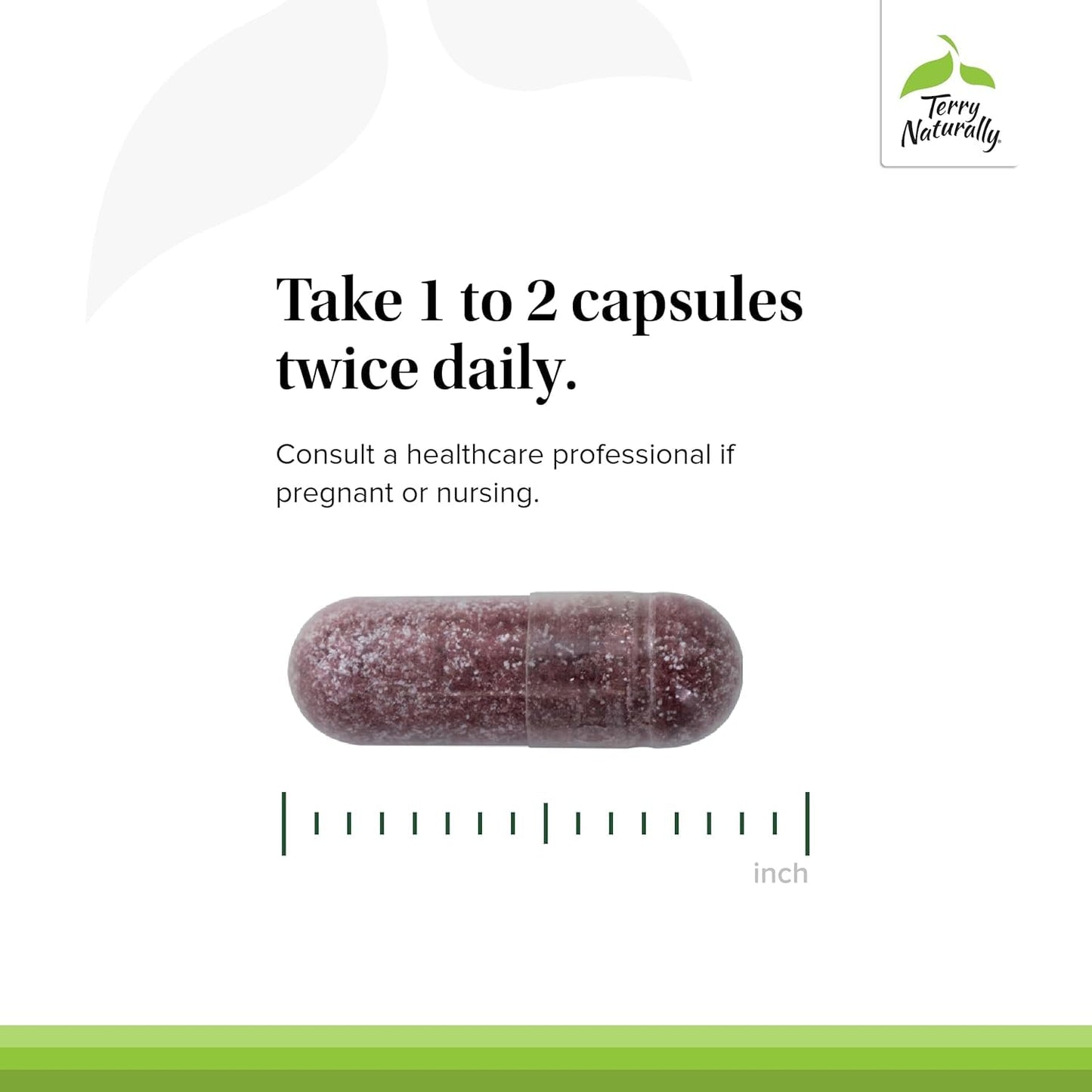 Terry Naturally Tart Cherry – Antioxidant Support for Uric Acid & Joint Health | 120 Capsules