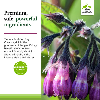 Terry Naturally Traumaplant Comfrey Cream - Non-Staining, PA-Free, Clinically Studied (3.53 oz)