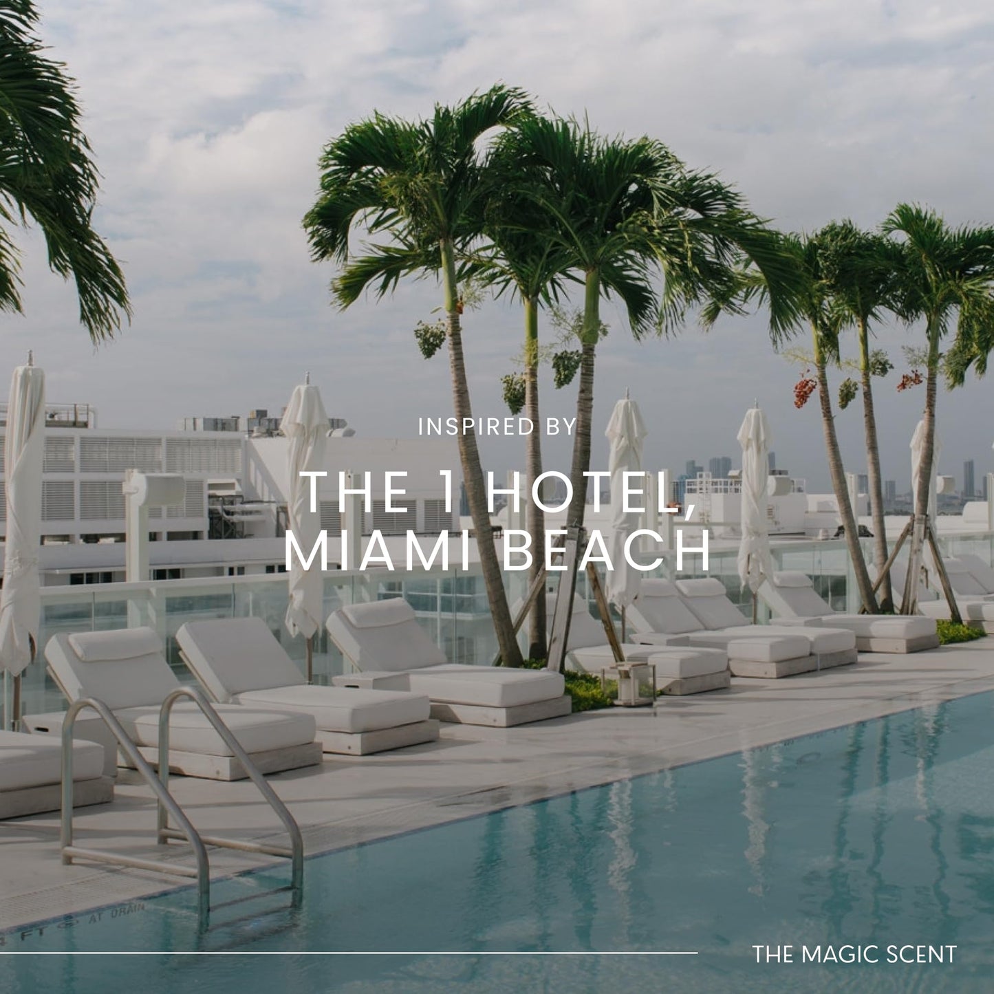 The Magic Scent Whitewood Diffuser Oil - Luxury Hotel & Home Scents Inspired by 1 Hotel Miami Beach (4 fl oz / 120 mL)