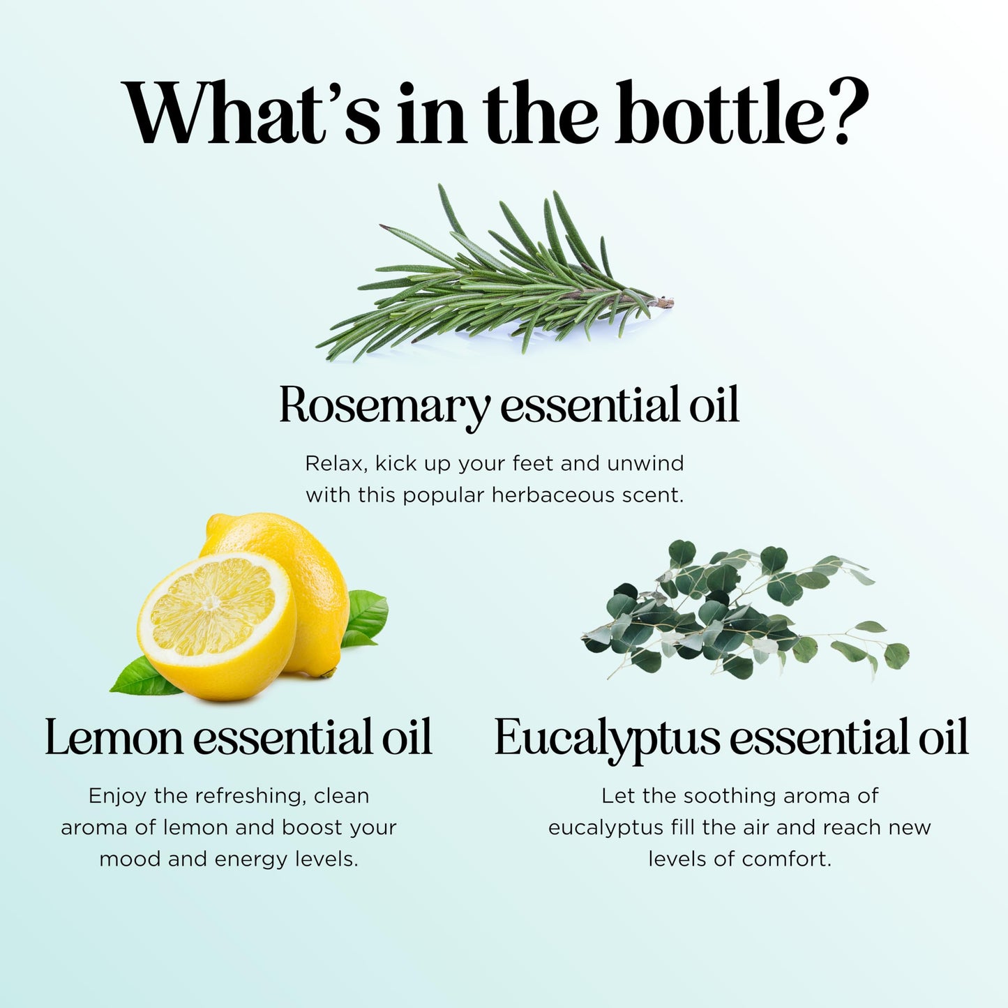 Thieves Myth Essential Oil Blend - Purification Diffuser Oil by Maple Holistics