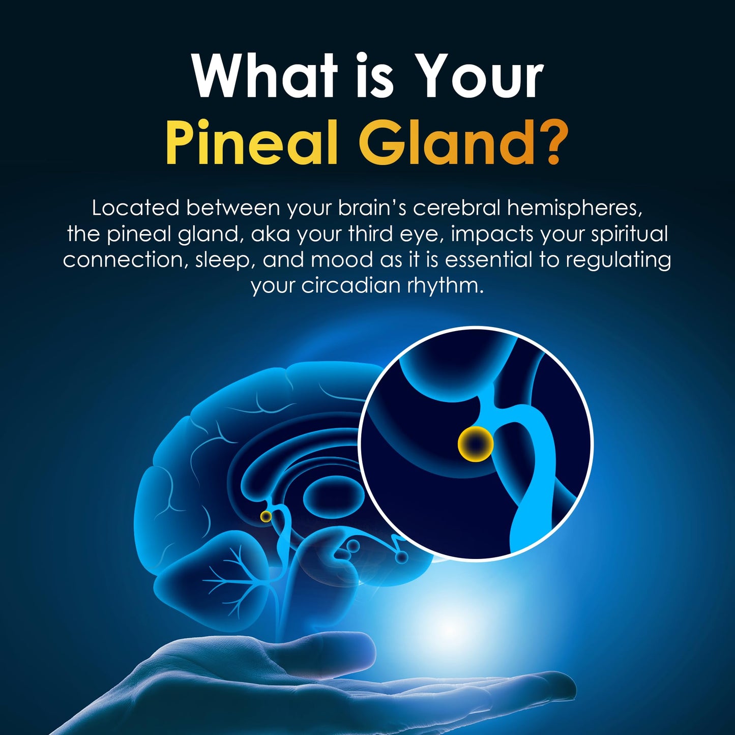 Nutraville Pineal Guard X – Pineal Gland Supplement for Brain Support & Focus