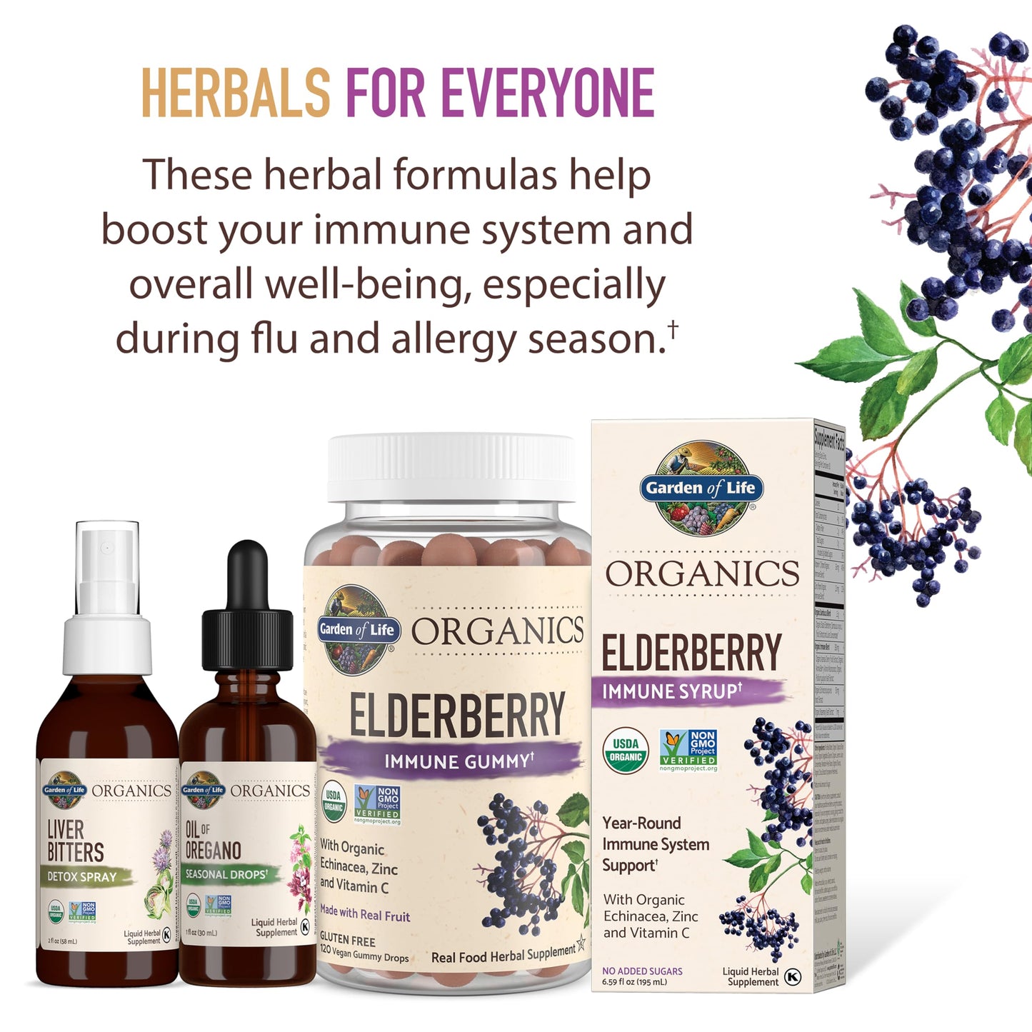 Garden of Life Organics Elderberry Immune Syrup – Sugar Free, 6.59 floz (195 mL) for Kids & Adults