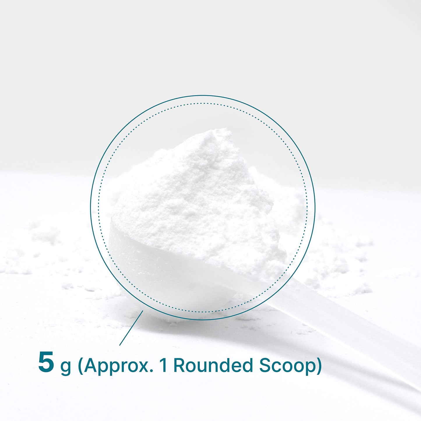 Instant Creatine Monohydrate Powder – 5g Serving, 120 Servings | Micronized, Unflavored, Fast Absorbing