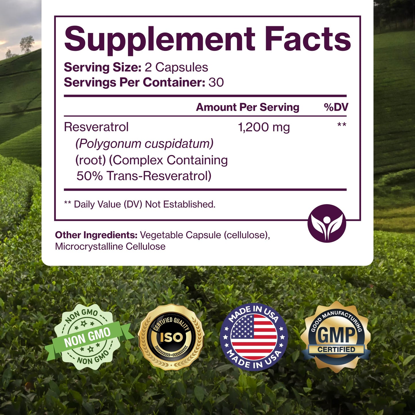 Pure Resveratrol Supplement - Extra Strength 600mg Trans-Resveratrol | 60 Vegan Caps | Heart, Cognitive & Immune Support