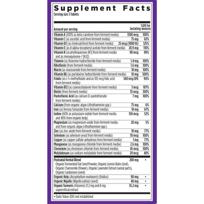 New Chapter Postnatal Vitamins – Lactation Support, Fermented D3, Organic (96 Count) | Non-GMO