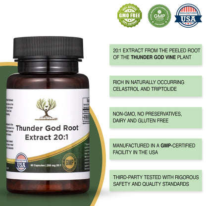 Thunder God Vine Root 20:1 Supplement – 200 mg Tripterygium Wilfordii, 90 Capsules | ThunderGodRoot