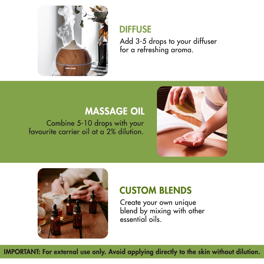 Majestic Pure Thyme Essential Oil – 4 Fl Oz, 100% Pure & Natural, Glass Dropper