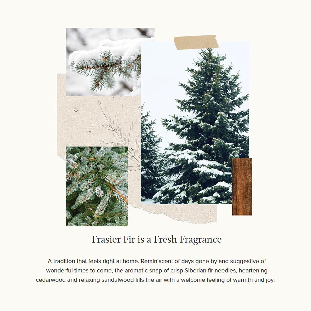 Thymes Frasier Fir Candles - Silver Pine Needle Luminary, 20 oz | Statement Collection