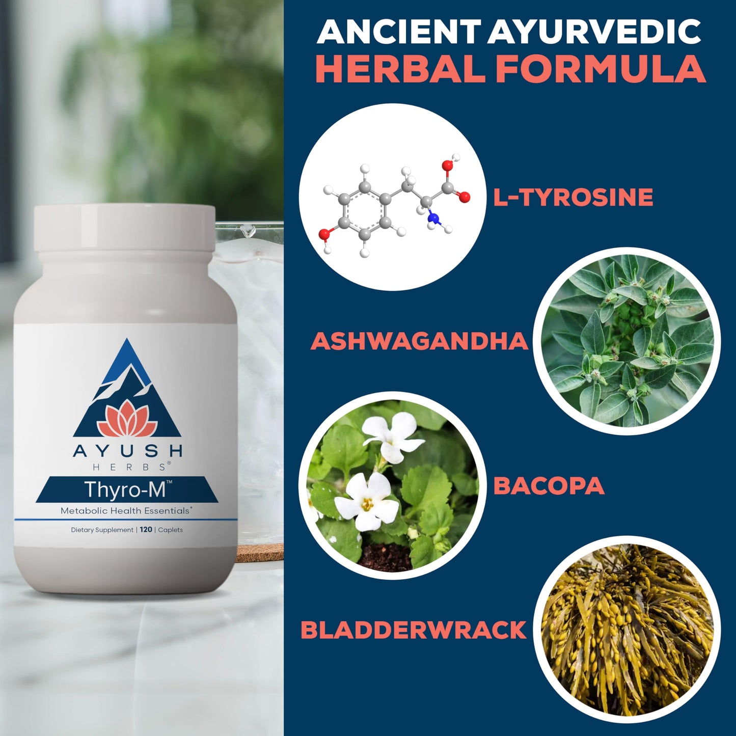 Ayush Herbs Thyro-M: Thyroid Support with L-Tyrosine, Ashwagandha & Kelp (120 Veg Capsules)