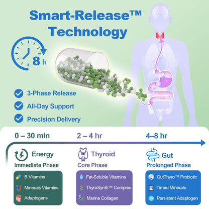 Thyroid Support Supplement for Women – 120 Capsules | Smart-Release Micro-Beads, ThyroSynth™ & GutThyro™