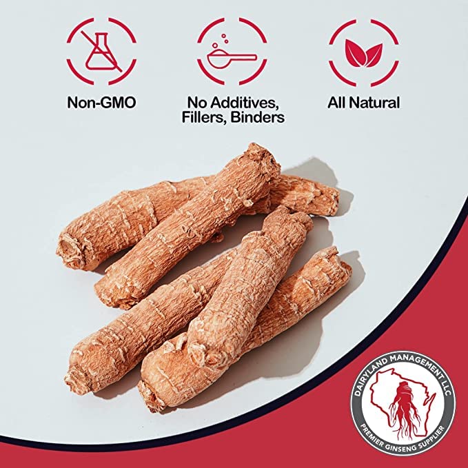 Dairyland Ginseng - Premium Panax Notoginseng Powder (4 oz) – 100% Natural Tien Chi Root Powder | Gluten Free, Non-GMO