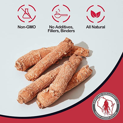 Dairyland Ginseng - Premium Panax Notoginseng Powder (4 oz) – 100% Natural Tien Chi Root Powder | Gluten Free, Non-GMO