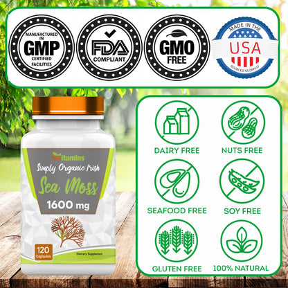 TNVitamins Organic Irish Sea Moss 1600mg – 120 Capsules, 2-Month Supply, Non-GMO, Made in USA