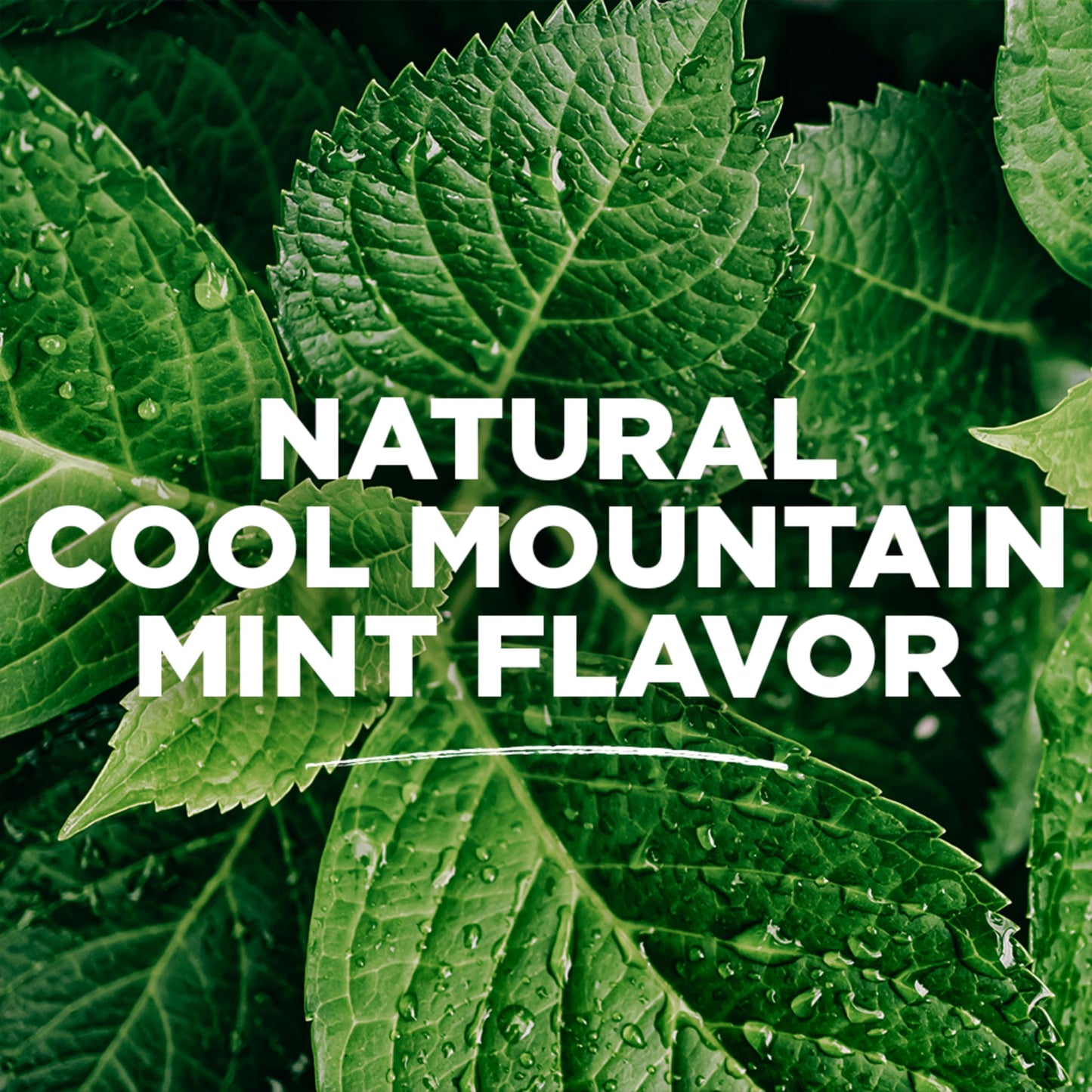 Tom's of Maine Wicked Fresh Natural Mouthwash – Alcohol-Free, Cool Mountain Mint, 16 oz (6-Pack) Packaging May Vary