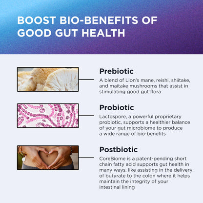 DR. EMIL NUTRITION Total Gut Health Complex – Prebiotic, Probiotic & Postbiotic Digestive Health Supplement | 120 Capsules