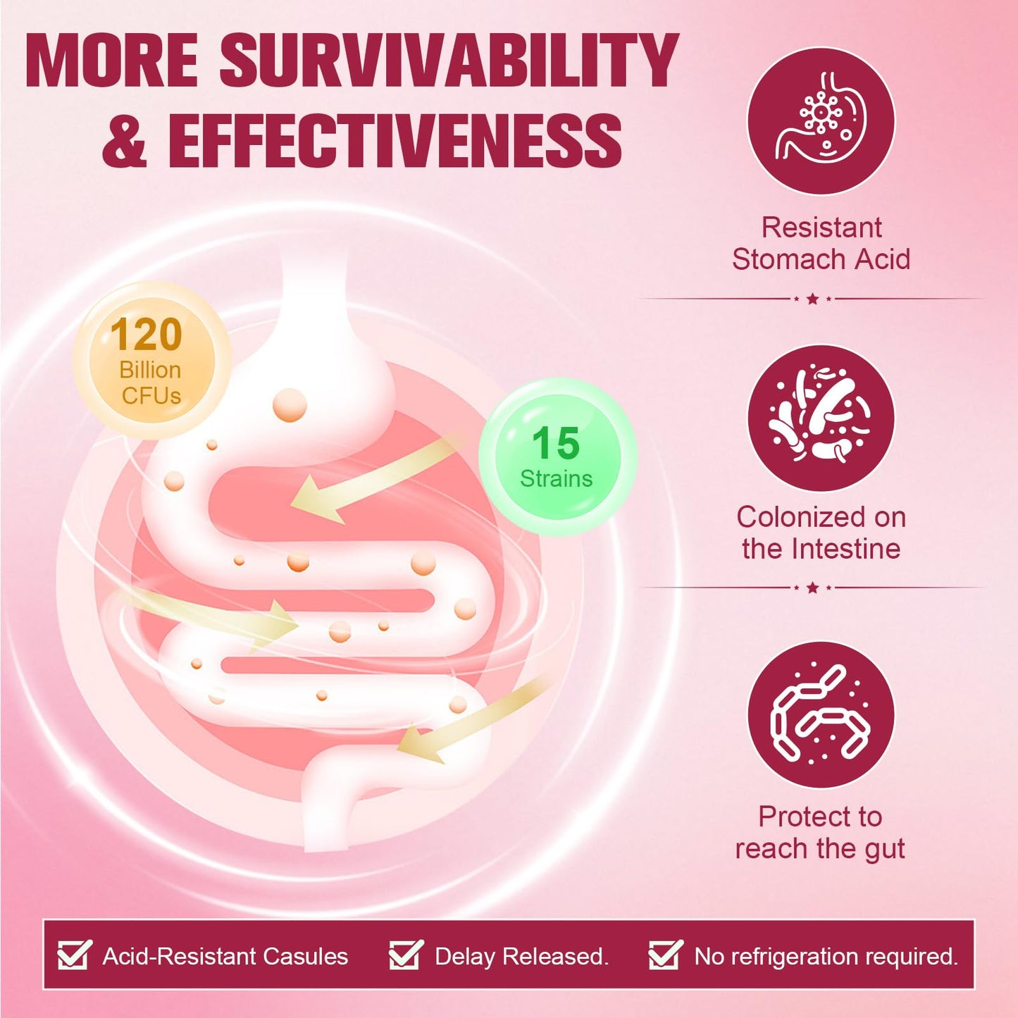 Totaria Probiotics for Women – 120B CFU, Akkermansia, Enzymes & Prebiotics | 120 Vegan Capsules