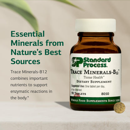 Trace Minerals-B12 with Iodine, Zinc & Copper - Thyroid & Cell Function Support | 90 Tablets