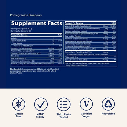Trace Minerals Power Pak Multivitamin Packets – Electrolyte Support