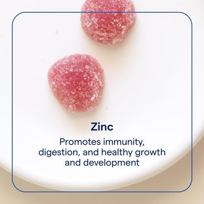Trace Minerals Zinc Gummy – Immune Support & Healthy Development (Vegan, Gelatin-Free) | 60 Count