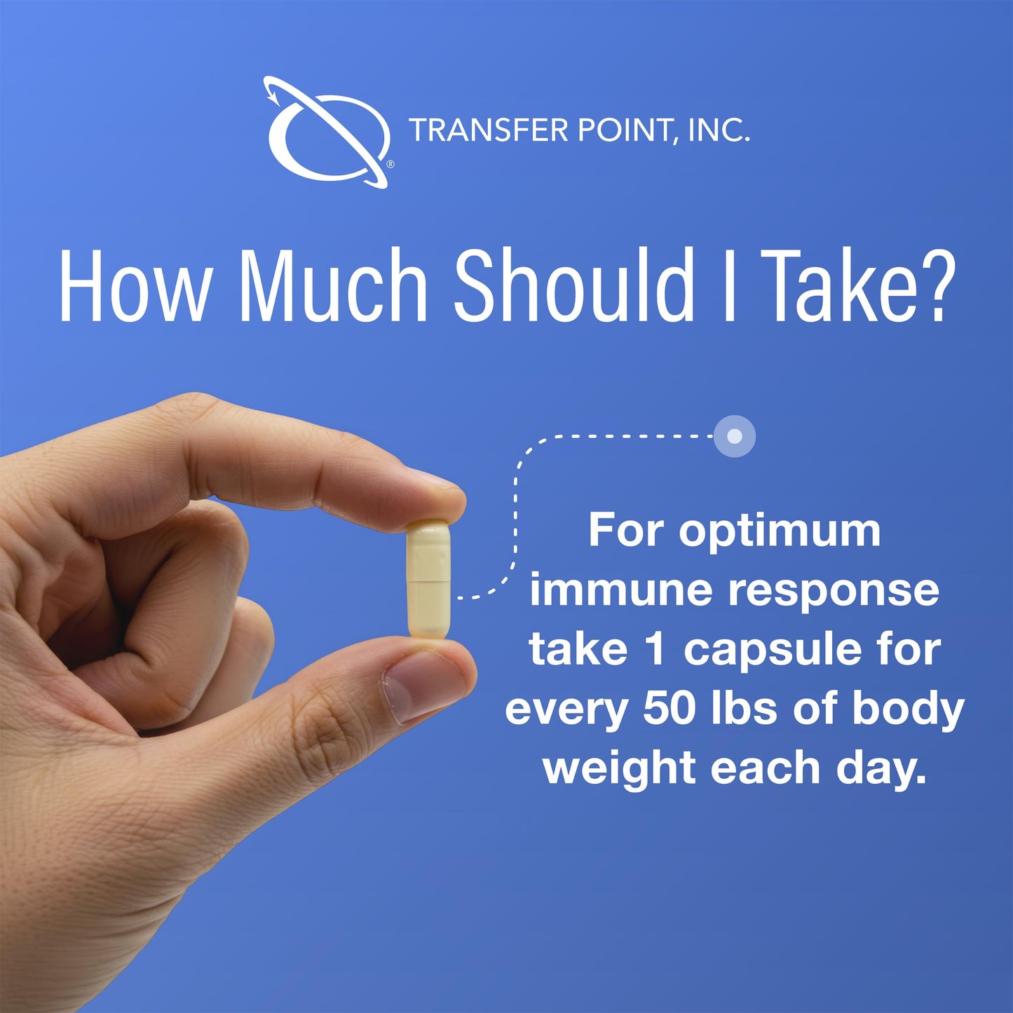 Transfer Point Immune Support: Highly Purified Beta 1,3D Glucan 500 mg Capsules (Pack of 3)