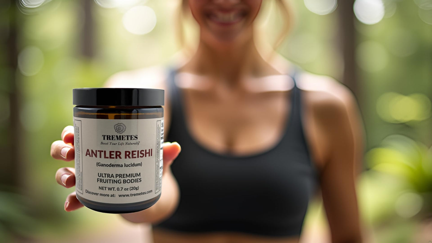 Tremetes Antler Reishi Mushroom – 37.8% Beta-Glucans | Tea Slices in Amber Jar