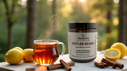 Tremetes Antler Reishi Mushroom – 37.8% Beta-Glucans | Tea Slices in Amber Jar