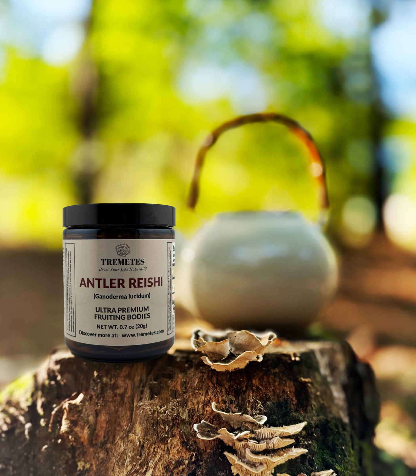 Tremetes Antler Reishi Mushroom – 37.8% Beta-Glucans | Tea Slices in Amber Jar