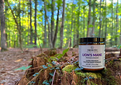 Tremetes Lion’s Mane Mushroom Powder – Lab Verified 15.3% Beta-Glucans | Focus