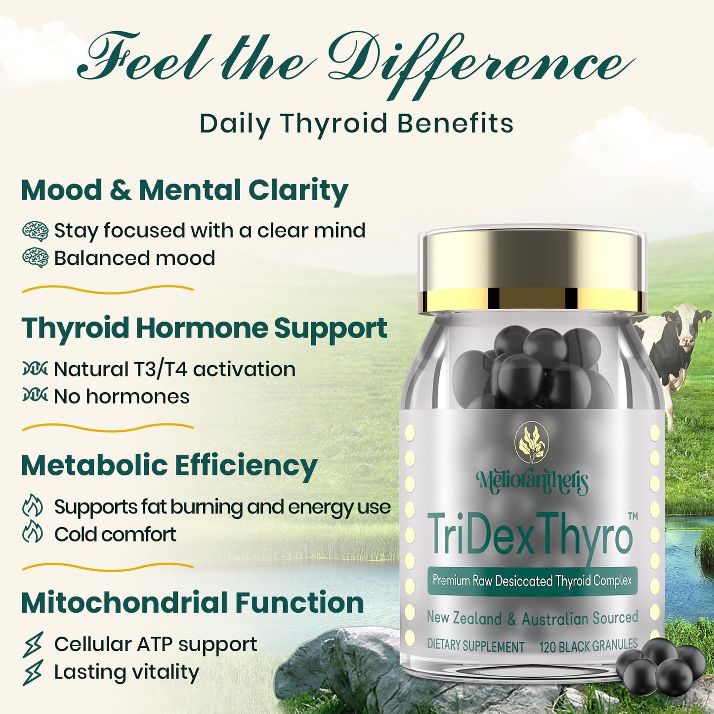 TriDexThyro Raw Desiccated Thyroid Complex – 375 mg, 120 Capsules (1 Pack)