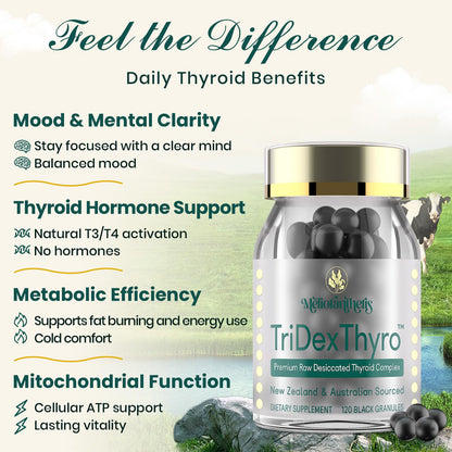 TriDexThyro Raw Desiccated Thyroid Complex – 375 mg, 120 Capsules (1 Pack)