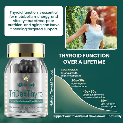 TriDexThyro Raw Desiccated Thyroid Complex – 375 mg, 120 Capsules (1 Pack)