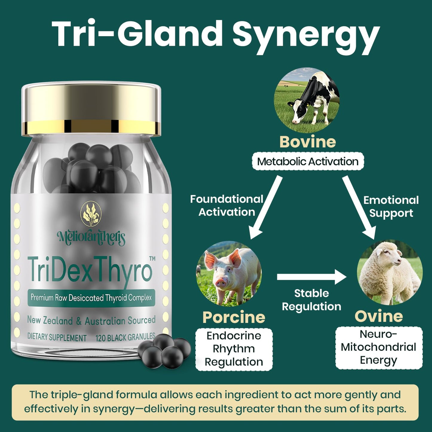 TriDexThyro Raw Desiccated Thyroid Complex – 375 mg, 120 Capsules (1 Pack)