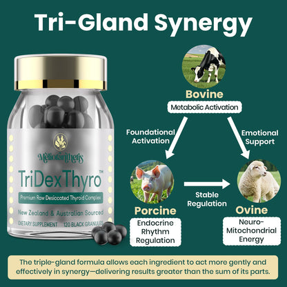 TriDexThyro Raw Desiccated Thyroid Complex – 375 mg, 120 Capsules (1 Pack)