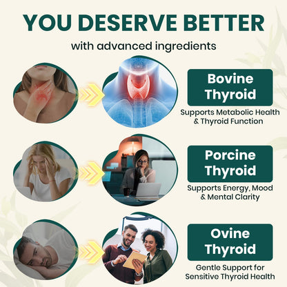 TriDexThyro Raw Desiccated Thyroid Complex – 375 mg, 120 Capsules (1 Pack)