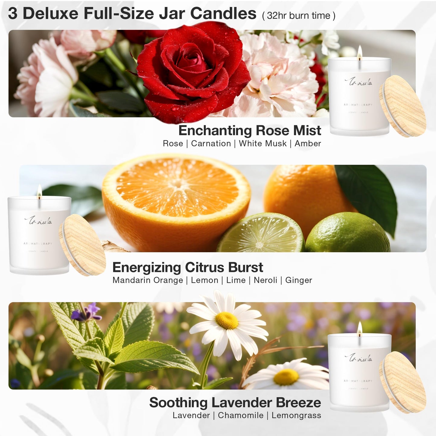 TRINIDa Scented Candles 120Hrs | Soy Candles for Home & Aromatherapy – Lavender Gift Set