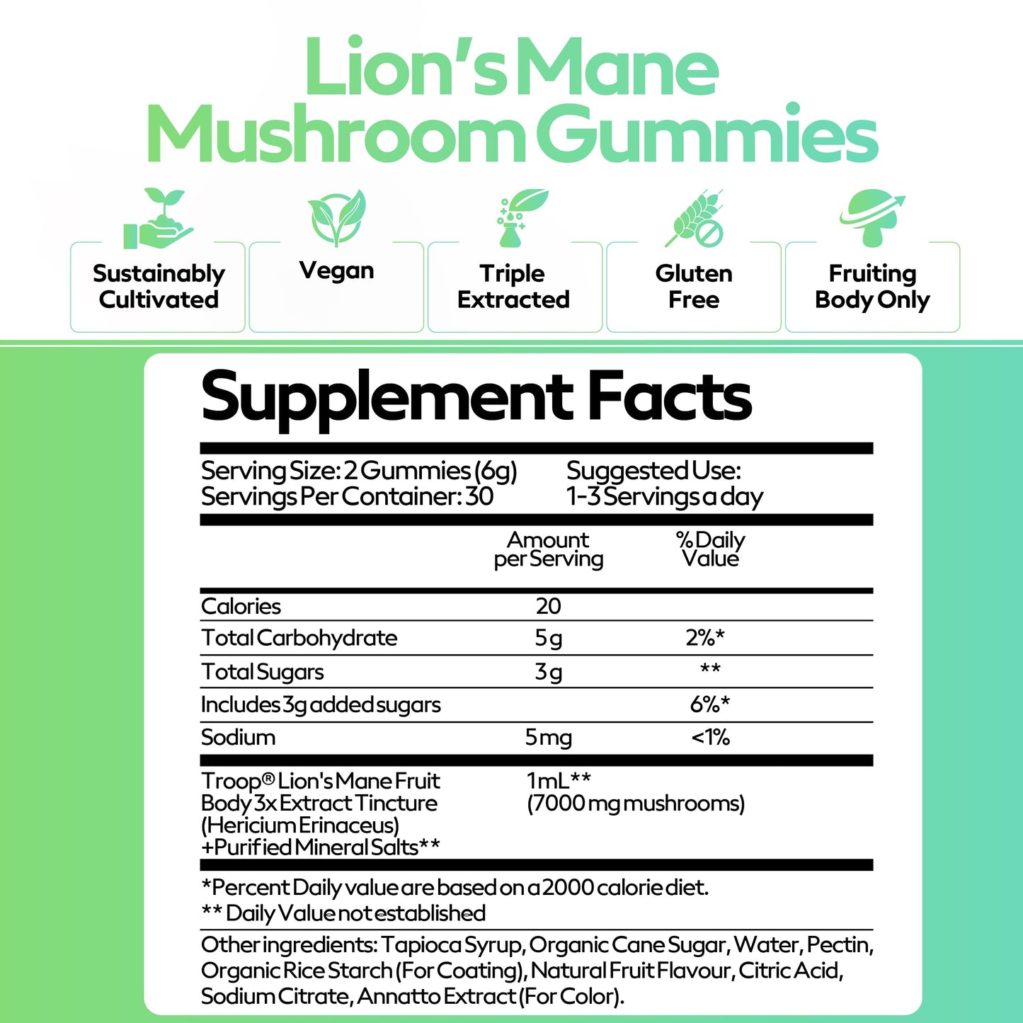 Troop Mushroom Lion's Mane Gummies for Focus & Mood | Vegan Peach Mango, 60 Count