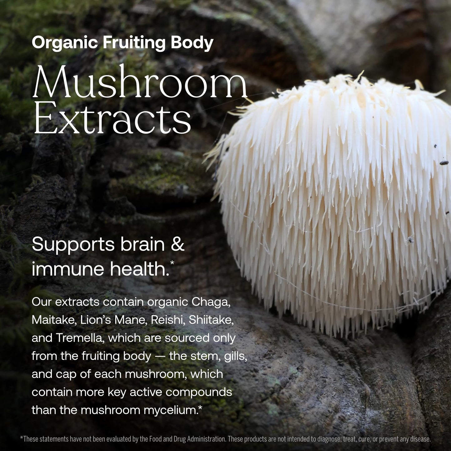 True Grace One Daily Women's Multivitamin 40+ - Fermented Minerals, Organic Adaptogens & Mushrooms