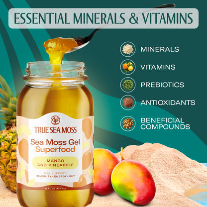 TrueSeaMoss Sea Moss Gel Mango Pineapple – Made in USA, Wildcrafted Seamoss