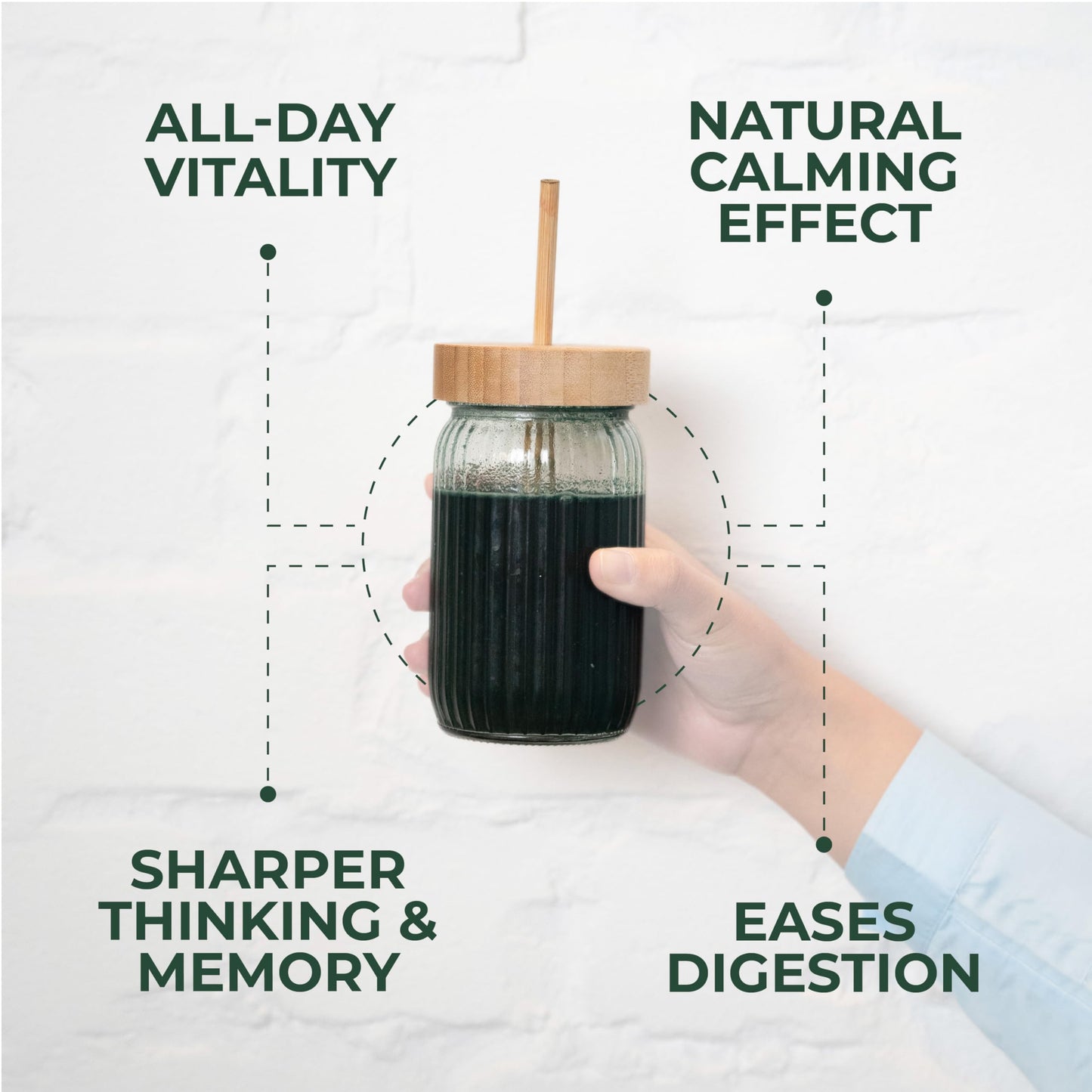 TRUMETA Greens Powder Travel Packs - 14 Servings for Memory & Digestion | Organic, Vegan & Non-GMO