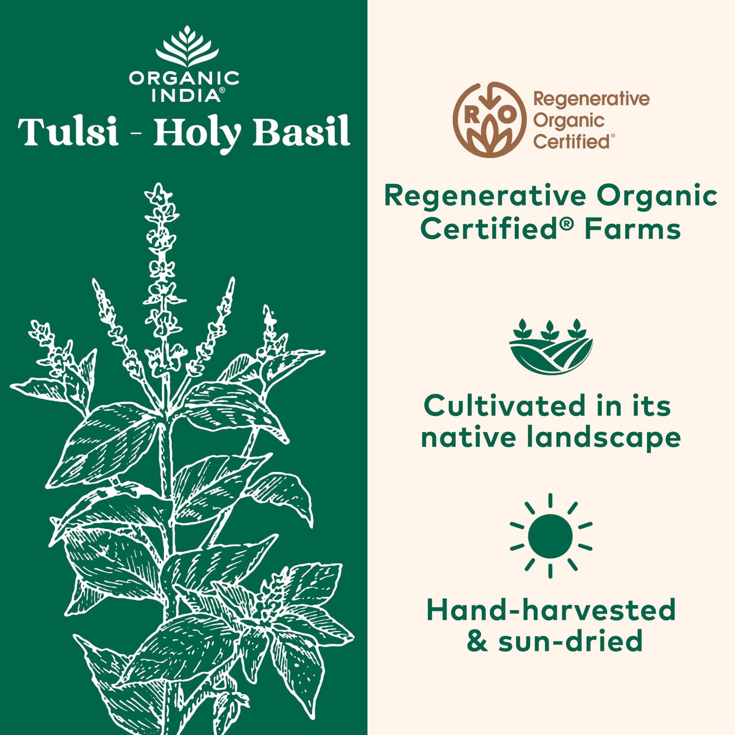 ORGANIC INDIA Tulsi Holy Basil Capsules - Immune Support, Stress Relief, 90 Capsules
