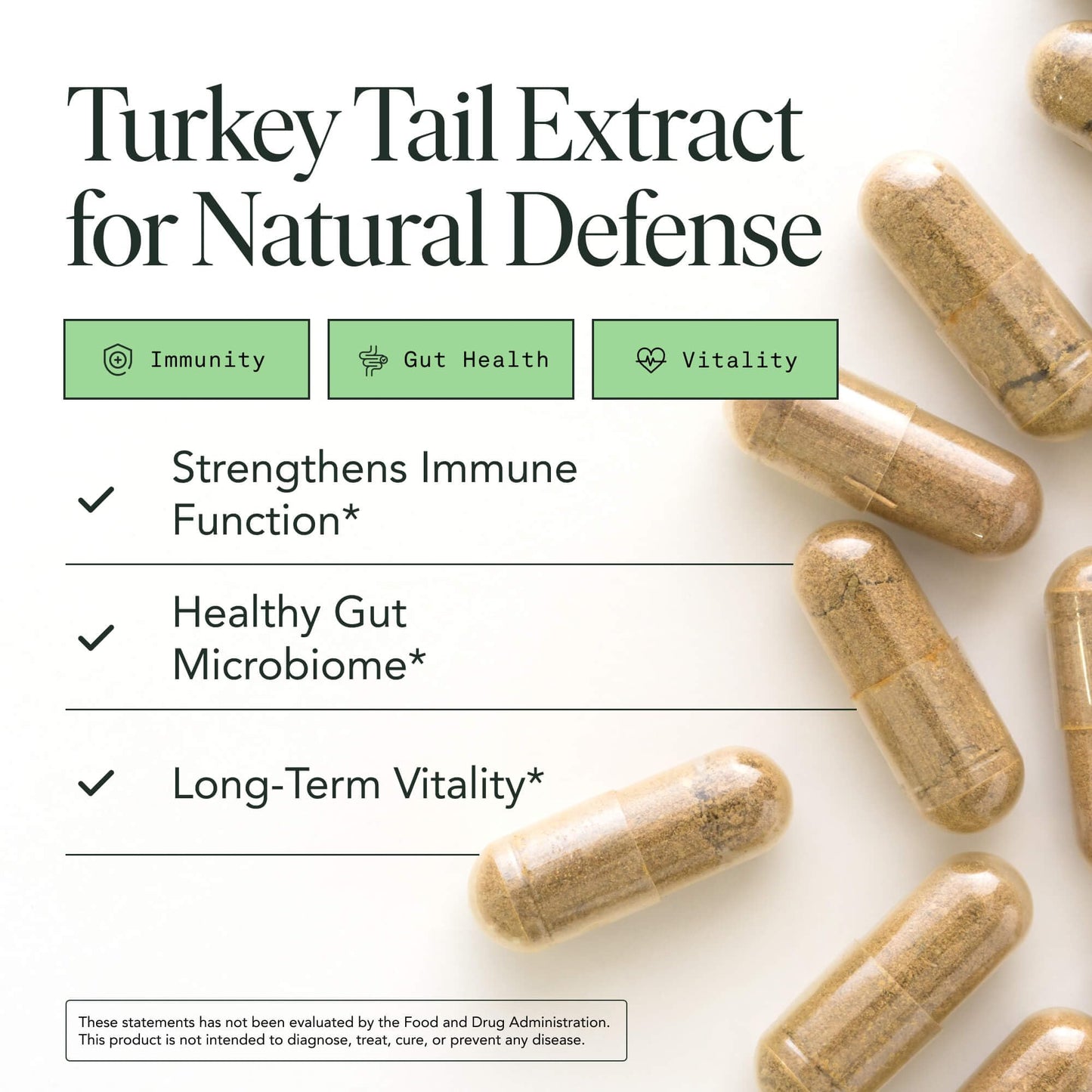 Organic Turkey Tail Mushroom Capsules – Immune & Gut Health (120 Caps, Vegan)