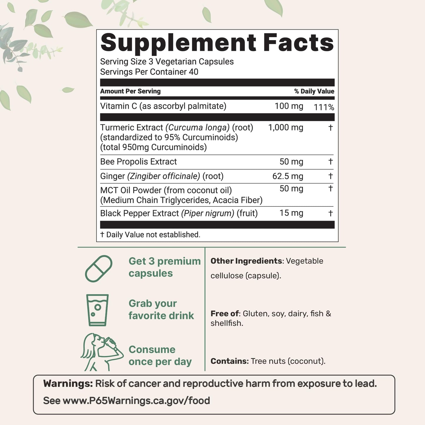Pure Turmeric Curcumin 1,000mg | 95% Curcuminoids | 120 Veggie Capsules