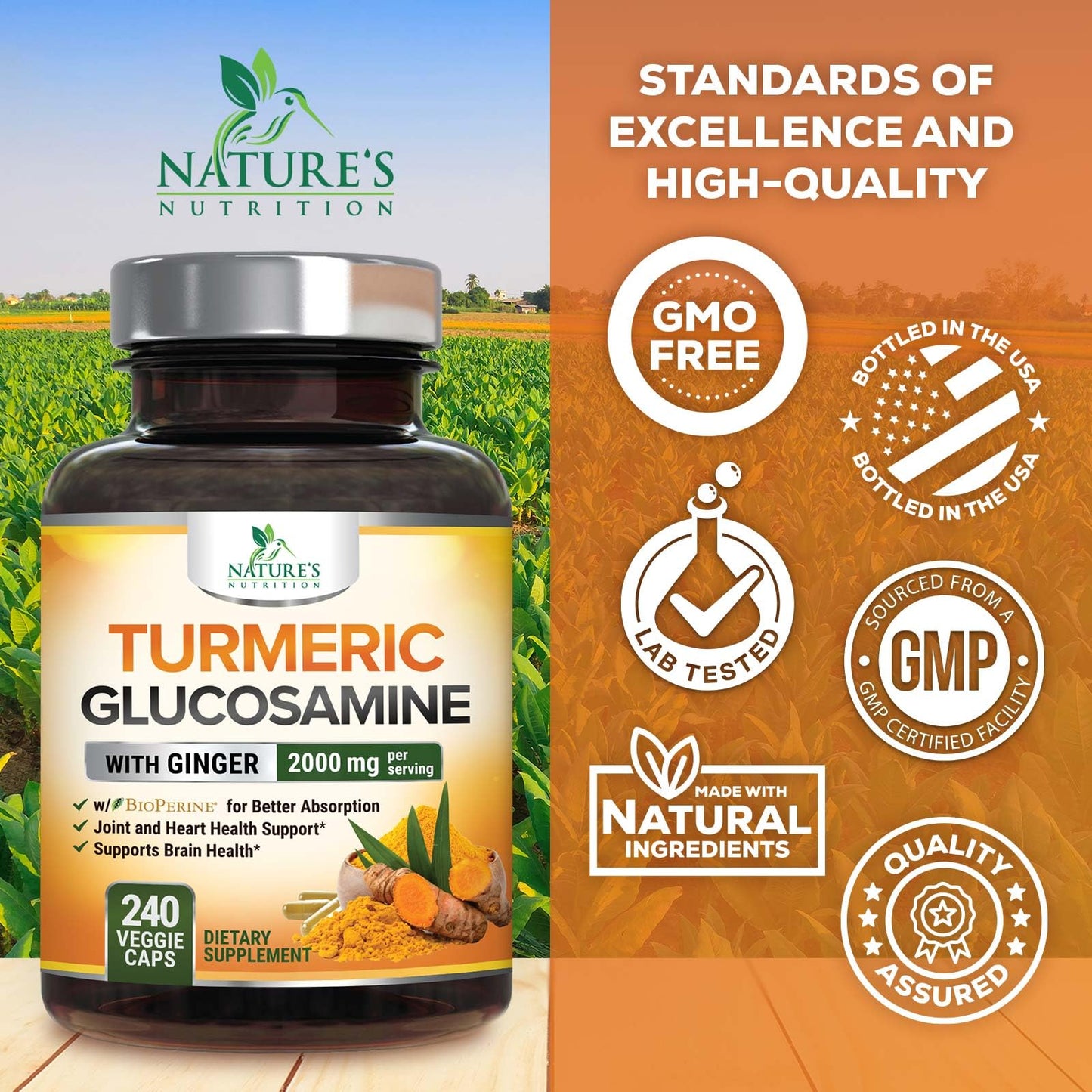 Turmeric Curcumin 2000mg with Glucosamine & Ginger – BioPerine, 240 capsules, USA Made