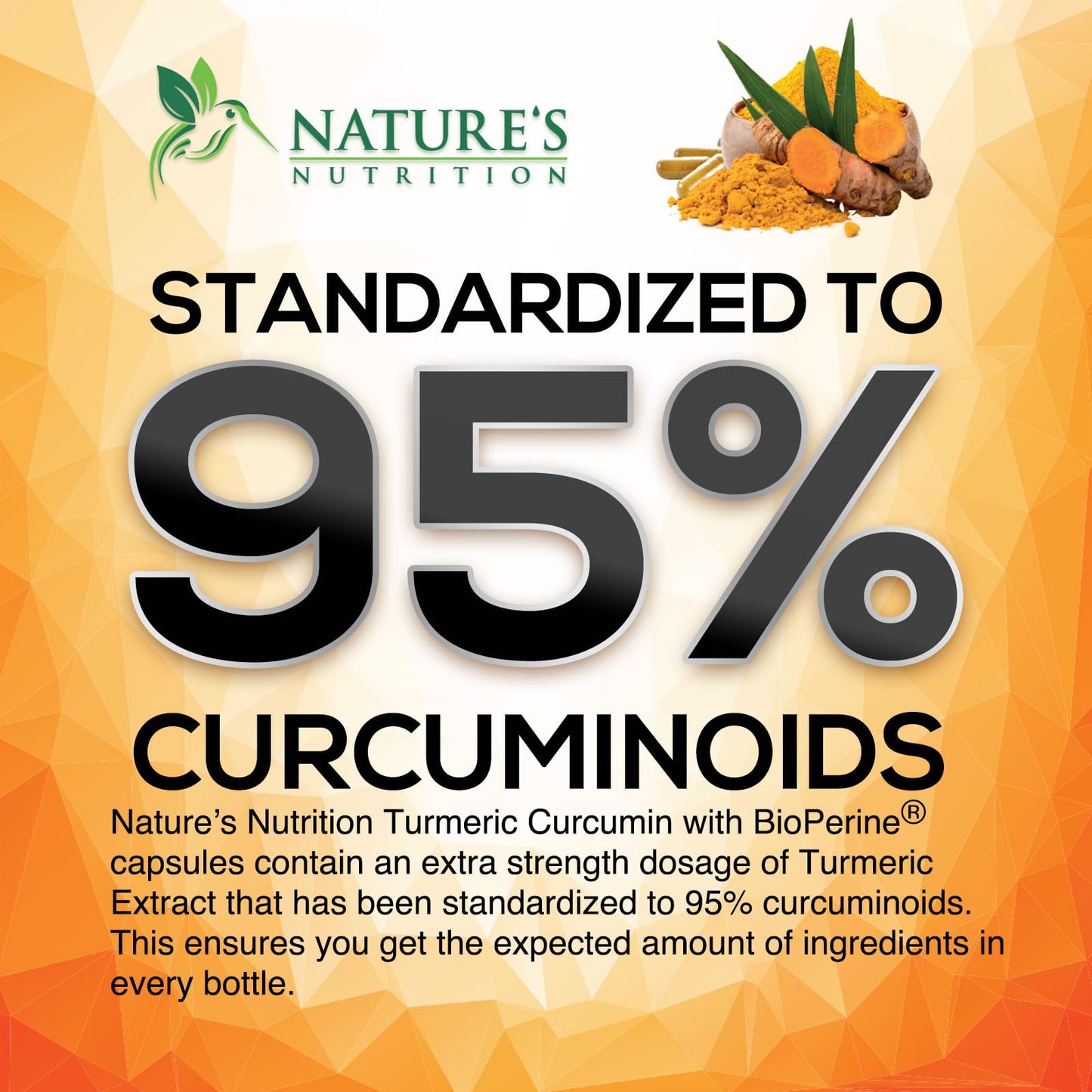 Turmeric Curcumin Supplement 2600mg – 95% Curcuminoids, BioPerine & Organic Turmeric – 240 Capsules | Made in USA