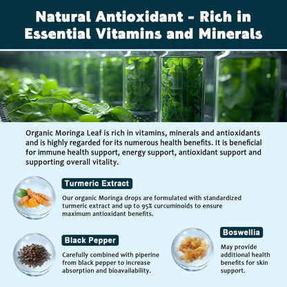 (2 Pack) Organic Moringa Leaf Extract Liquid Drops – Energy, Immune & Skin Support | 1 fl oz