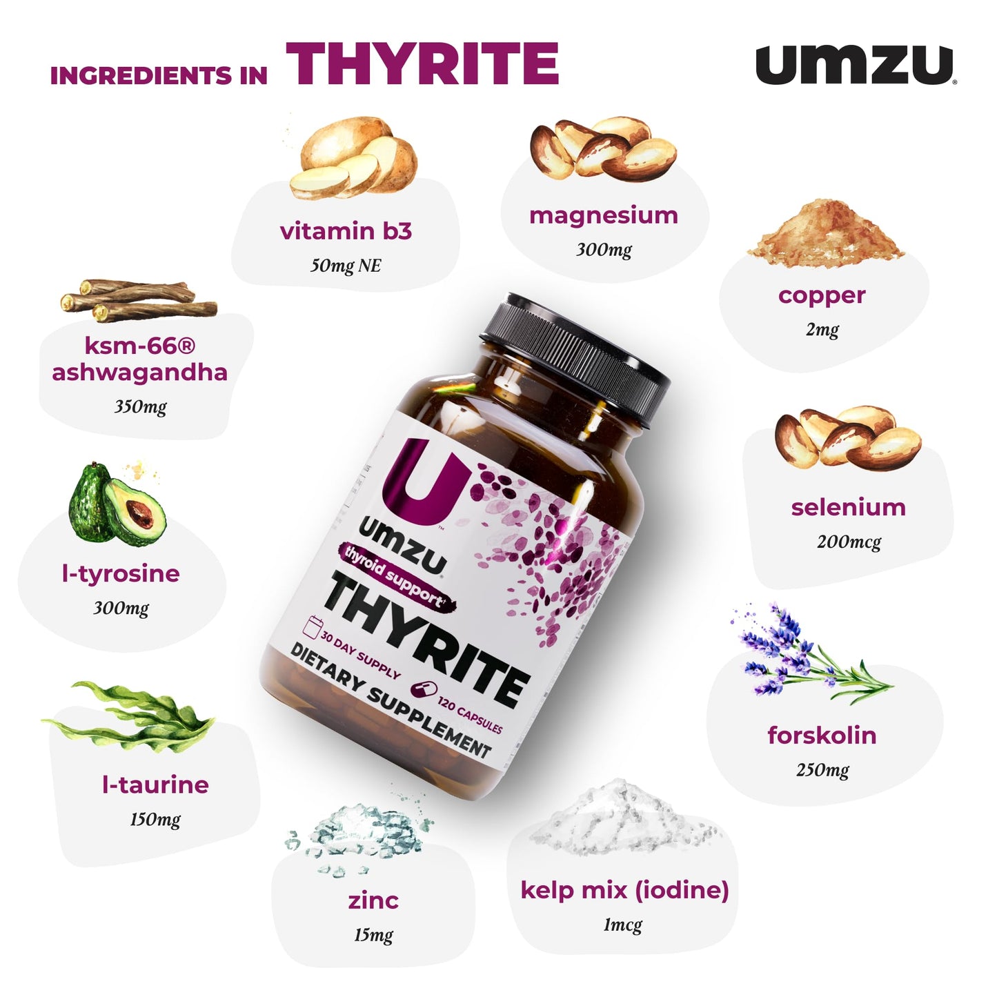 UMZU Thyrite Thyroid Support – Metabolism & Energy (120 Capsules)